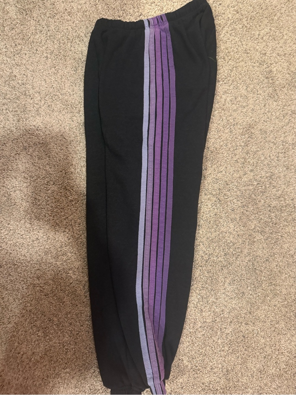 Aviator Nation sweatpants with  Purple Stripes